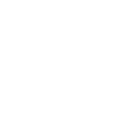 404